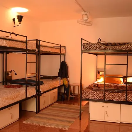 Be Animal Hostel-3